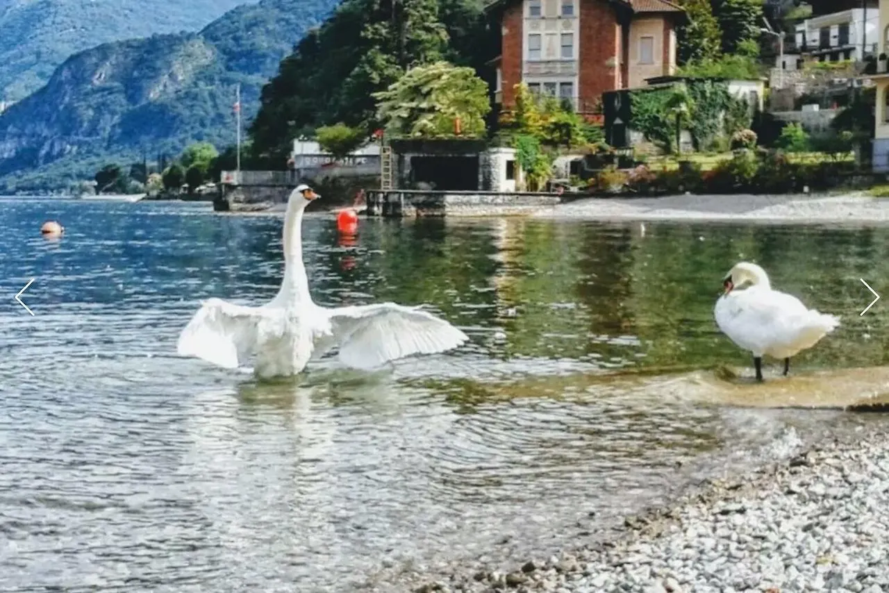 Le Grigne Guest House Oliveto Lario