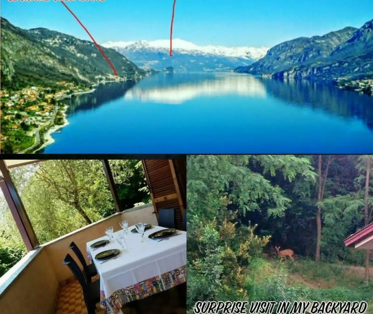Appartement Le Grigne Guest House Oliveto Lario