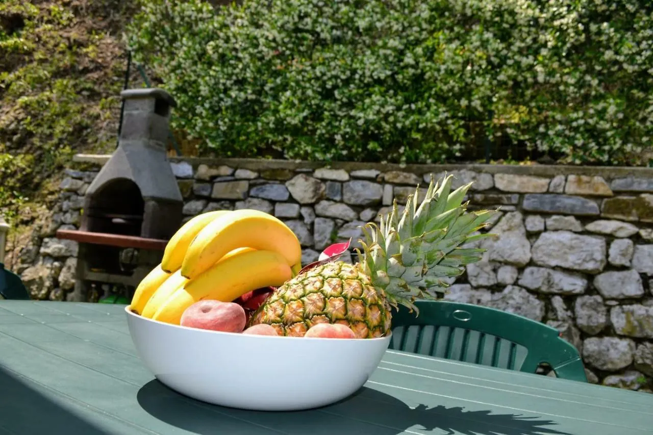 Le Grigne Guest House Oliveto Lario 0*,  Italy